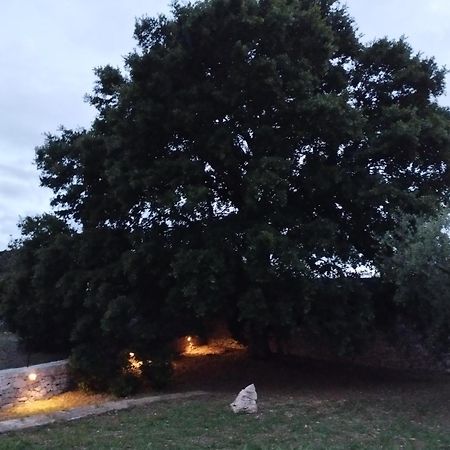 Villa Trulli La Quercia Del Nonno à Locorotondo Extérieur photo