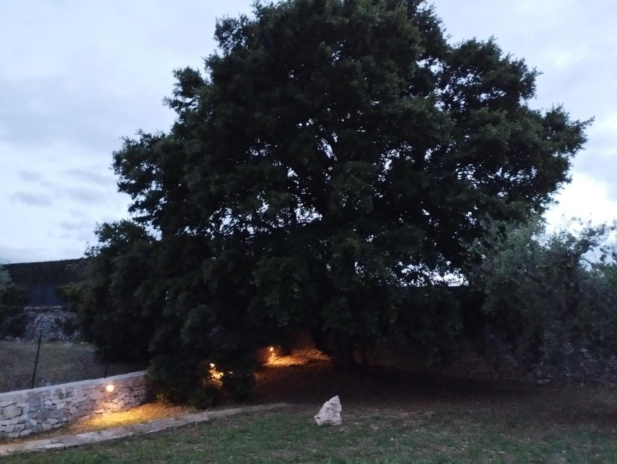 Villa Trulli La Quercia Del Nonno à Locorotondo Extérieur photo
